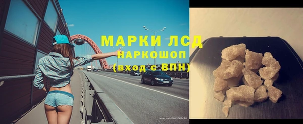 хмурый Абаза