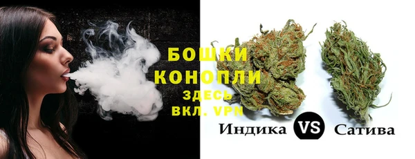 твердый Няндома