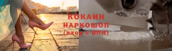 хмурый Абаза