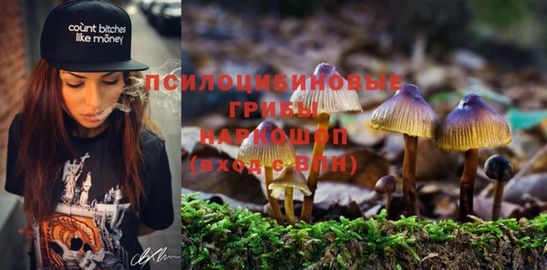 хмурый Абаза