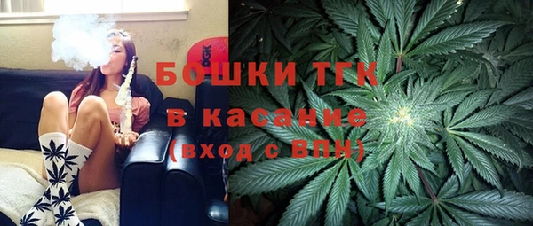 хмурый Абаза