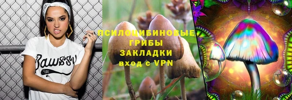 хмурый Абаза