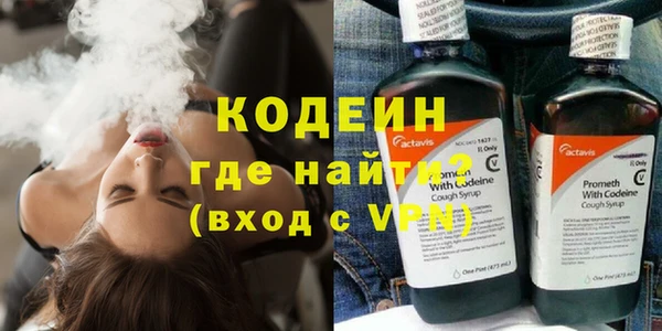 хмурый Абаза