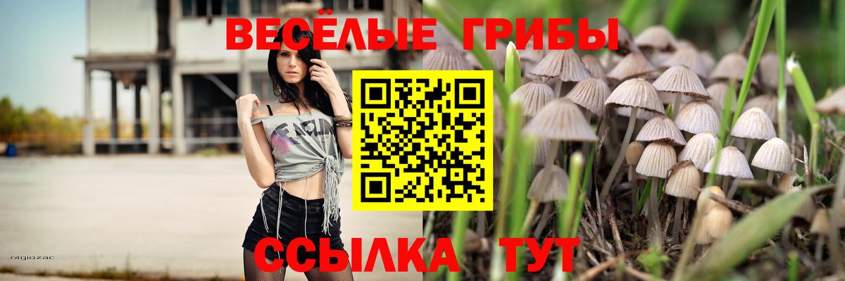 Галлюциногенные грибы мухоморы  Вход с VPN  Хабаровск 